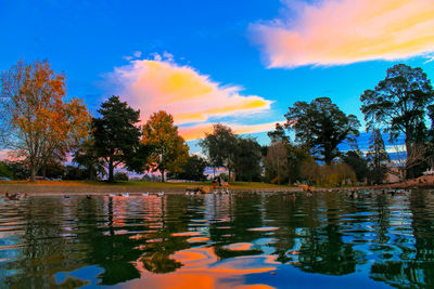 Reflection of trees in lake against orange sky