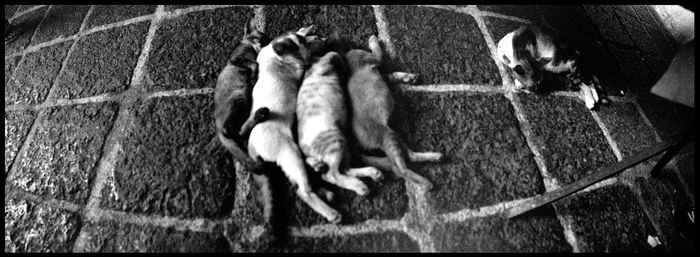 High angle view of people outdoors