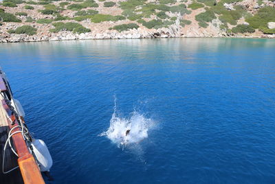 High angle view of fish in sea