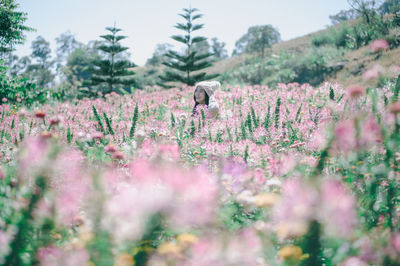 Smiling woman standing amidst pink flowers blooming on field