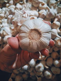 Hand holding a garlic piece