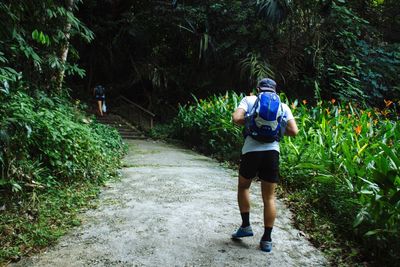 Rear view of woman walking on footpath