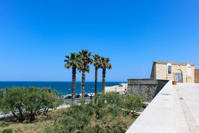 Palm trees by sea against clear blue sky