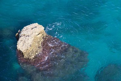 Close-up of rock in sea