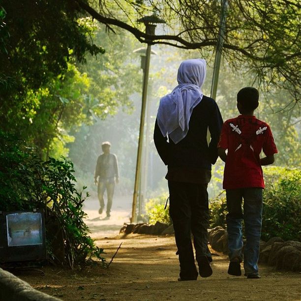 full length, tree, men, rear view, lifestyles, togetherness, casual clothing, leisure activity, walking, childhood, boys, person, bonding, park - man made space, girls, love, day, outdoors