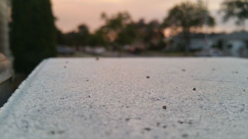 Surface level of road