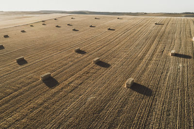 Combine harvester working at sunset from aerial view.