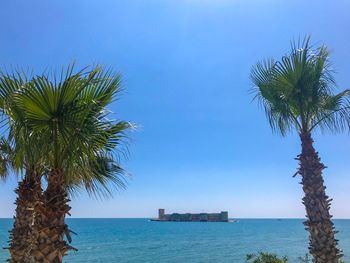 Palm tree by sea against sky