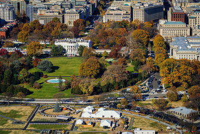 High angle view of trees and buildings in city