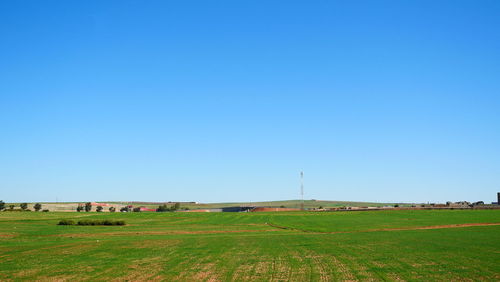 Scenic view of field against clear blue sky