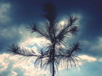 Low angle view of bare tree against cloudy sky