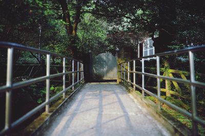 Footpath amidst trees in park