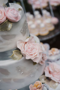 Close-up of pink roses