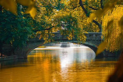 Bridge over river against trees