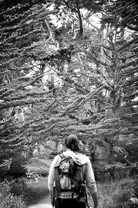 Rear view of woman sitting on tree stump