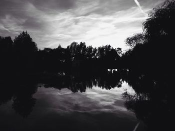 Silhouette of trees at sunset