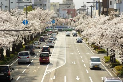 High angle view of cars on road