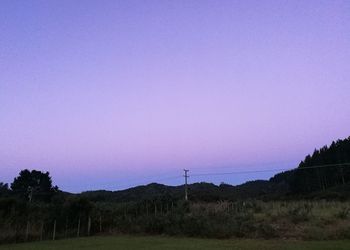 Scenic view of field against clear sky