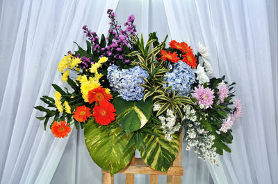 Close-up of flowers in pot