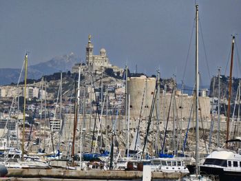 Sailboats moored at harbor against clear sky