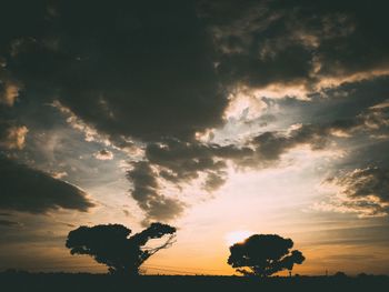 Silhouette tree against sky during sunset