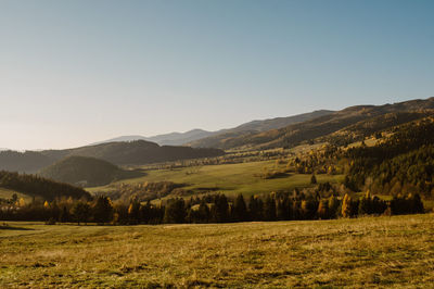 Scenic view of field against clear sky