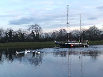 Sailboats moored in lake against sky