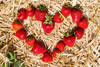 Directly above shot of strawberries