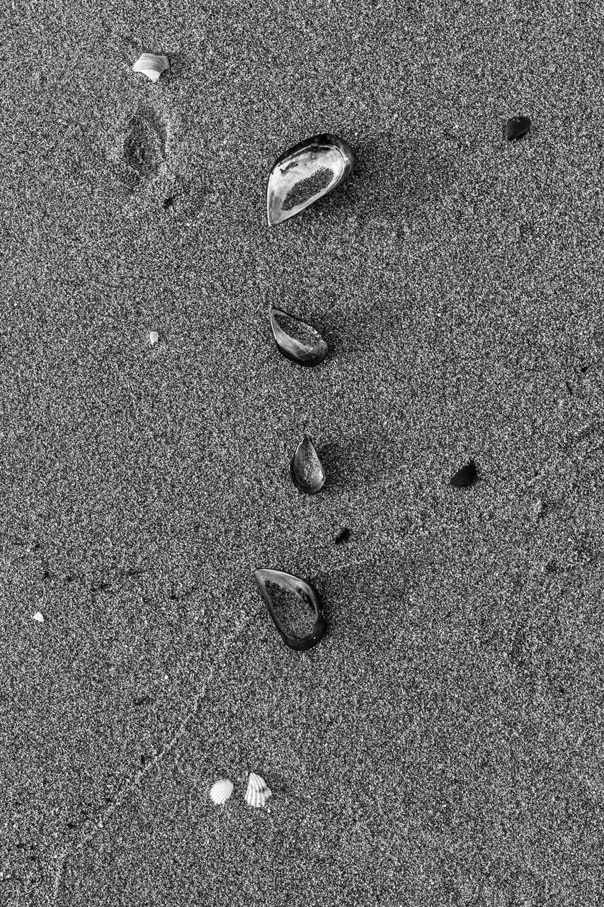 CLOSE-UP OF FOOTPRINTS ON SAND