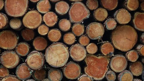 Full frame shot of logs