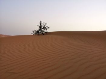 Scenic view of desert against clear sky