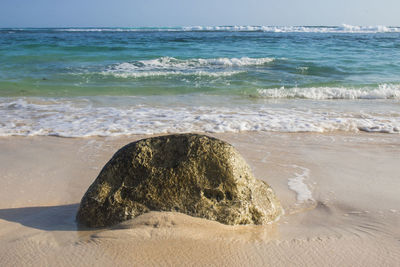 Scenic view of sea shore