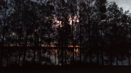 Silhouette trees by lake against sky at night