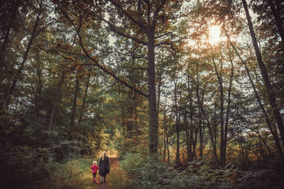 Woman walking in forest