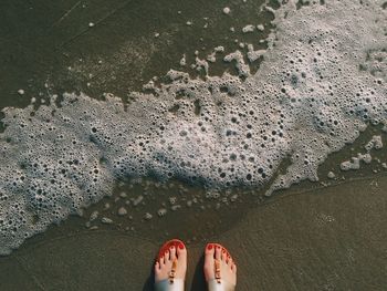 Close-up of human legs at waters edge on beach