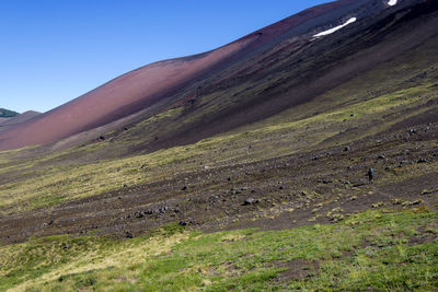 Scenic view of field against clear sky