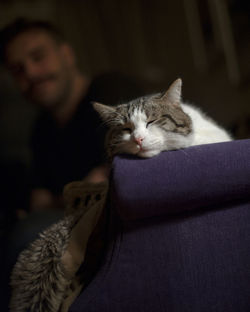 Defocused image of man looking at cat sleeping on sofa