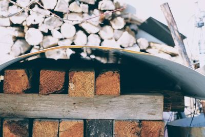 Close-up of firewood in shack