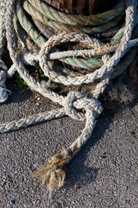 High angle view of rope on tree trunk