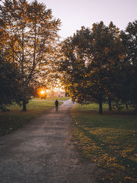 Rear view of man walking amidst trees during autumn