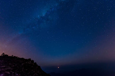 Low angle view of star field against sky at night