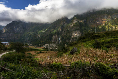 Scenic view of landscape against sky