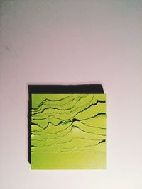 Close-up of leaf over white background