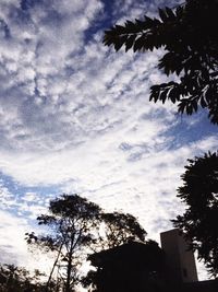 Low angle view of trees against cloudy sky