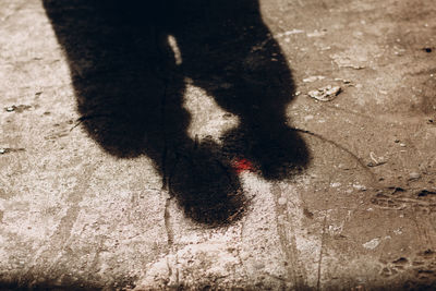 High angle view of shadow on floor