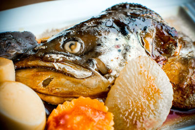 Close-up of fish in plate