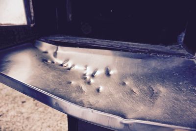 High angle view of snake