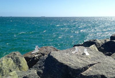 Scenic view of sea against clear sky