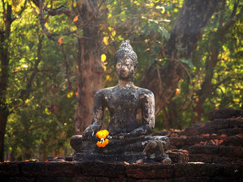 Buddha statue against trees