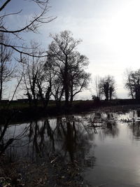 Bare trees by lake against sky